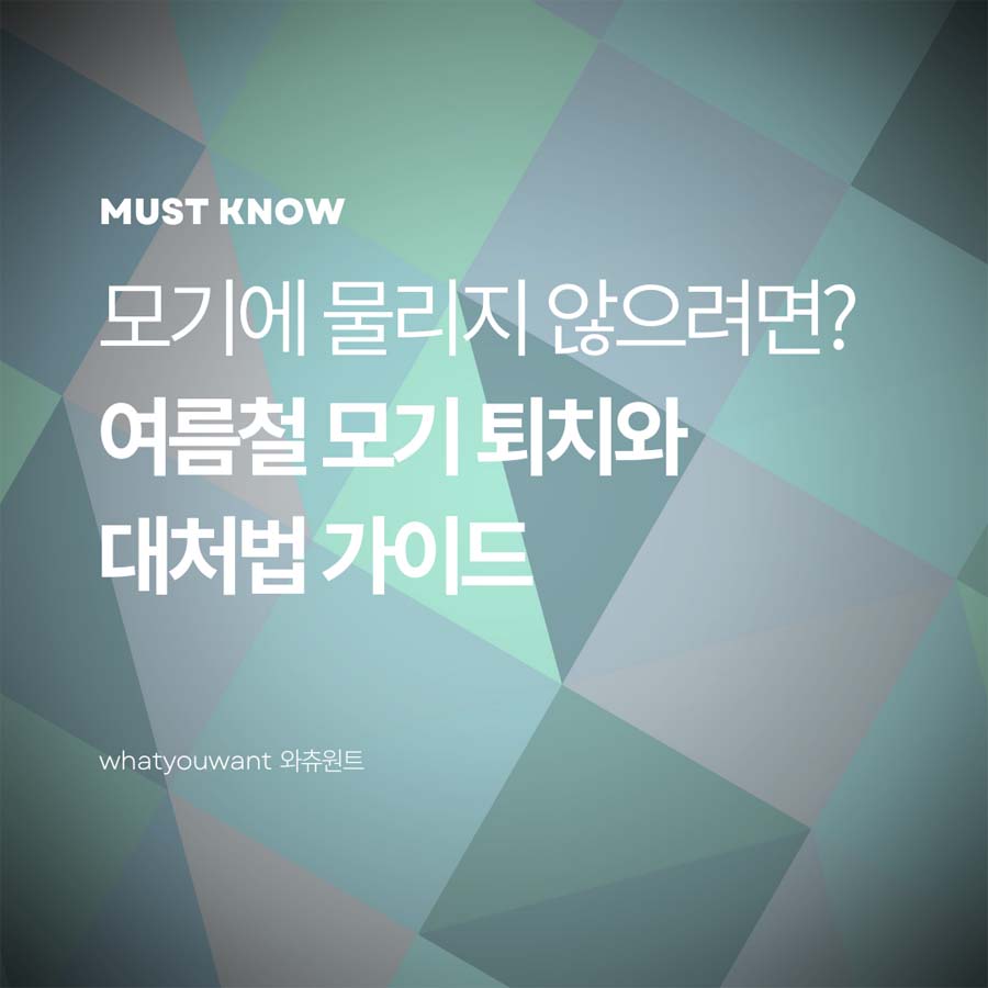 여름철 모기 퇴치와 대처법 가이드