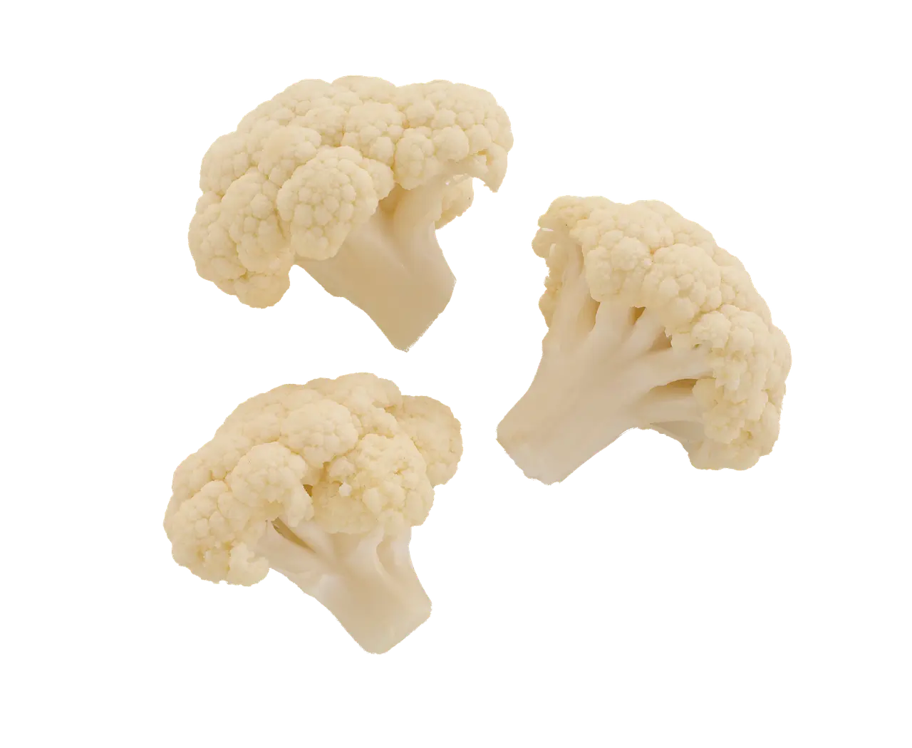 신장에 좋은 음식