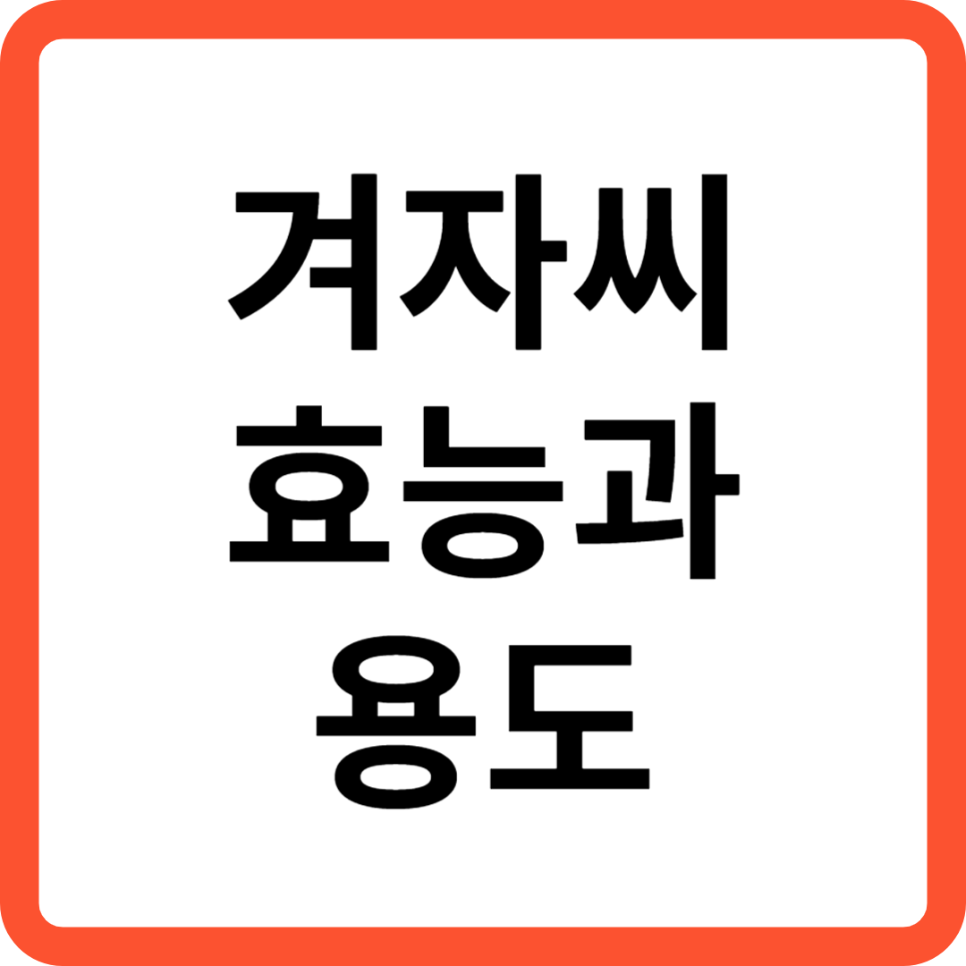 겨자씨 효능과 용도