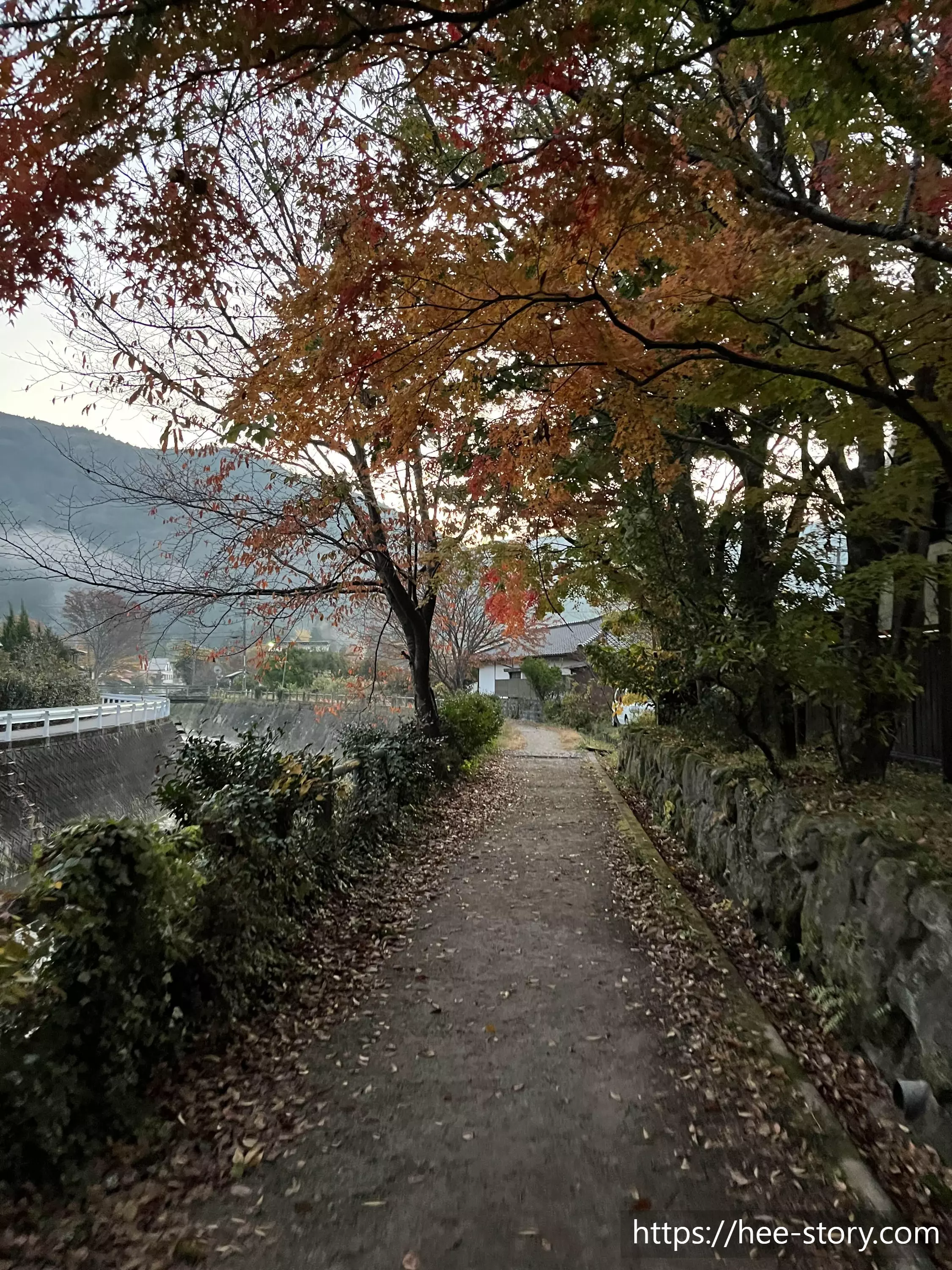 유후인 긴린코 호수 가는 길