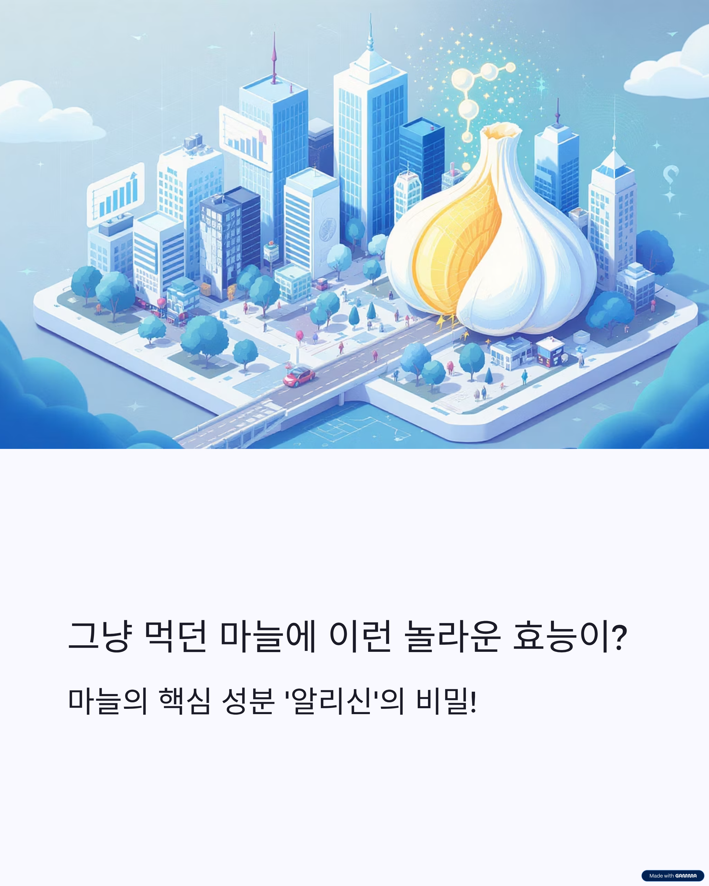 마늘의 효능