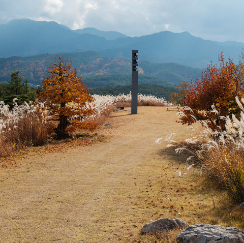 대구 군위 사유원 관람 예약