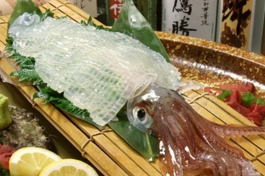 좌석 수의 많음과 가격도 매력