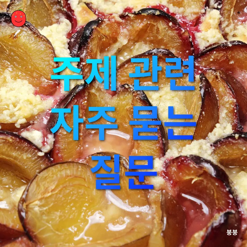 반려동물 수제간식_4