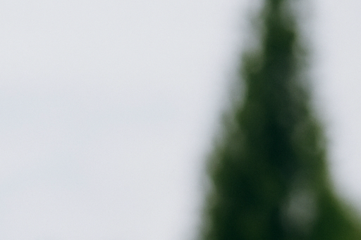 치매 전조증상과 초기증상