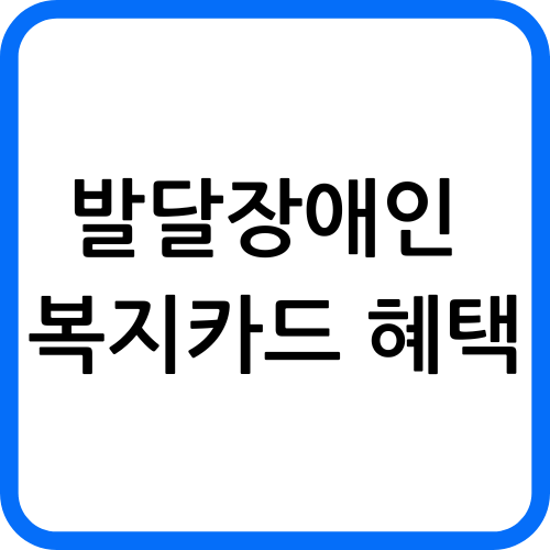 발달장애인 복지카드 혜택