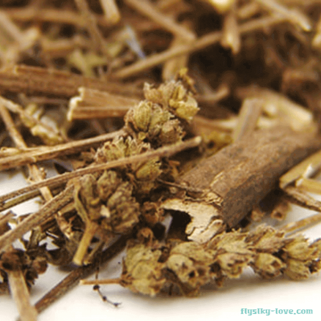 해열에 효과적인 형개