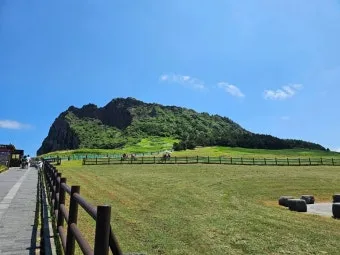 성산일출봉 입장료 할인팁과 해돋이 명소로 가는 길 정리_12
