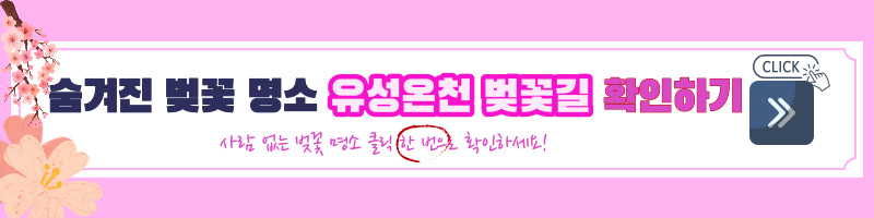 벚꽃-벚꽃 명소-벚꽃길-벚꽃 축제-2023 벚꽃 명소-2023 벚꽃 축제-전국 벚꽃 개화 시기