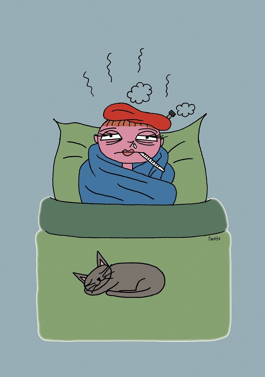식습관 사진