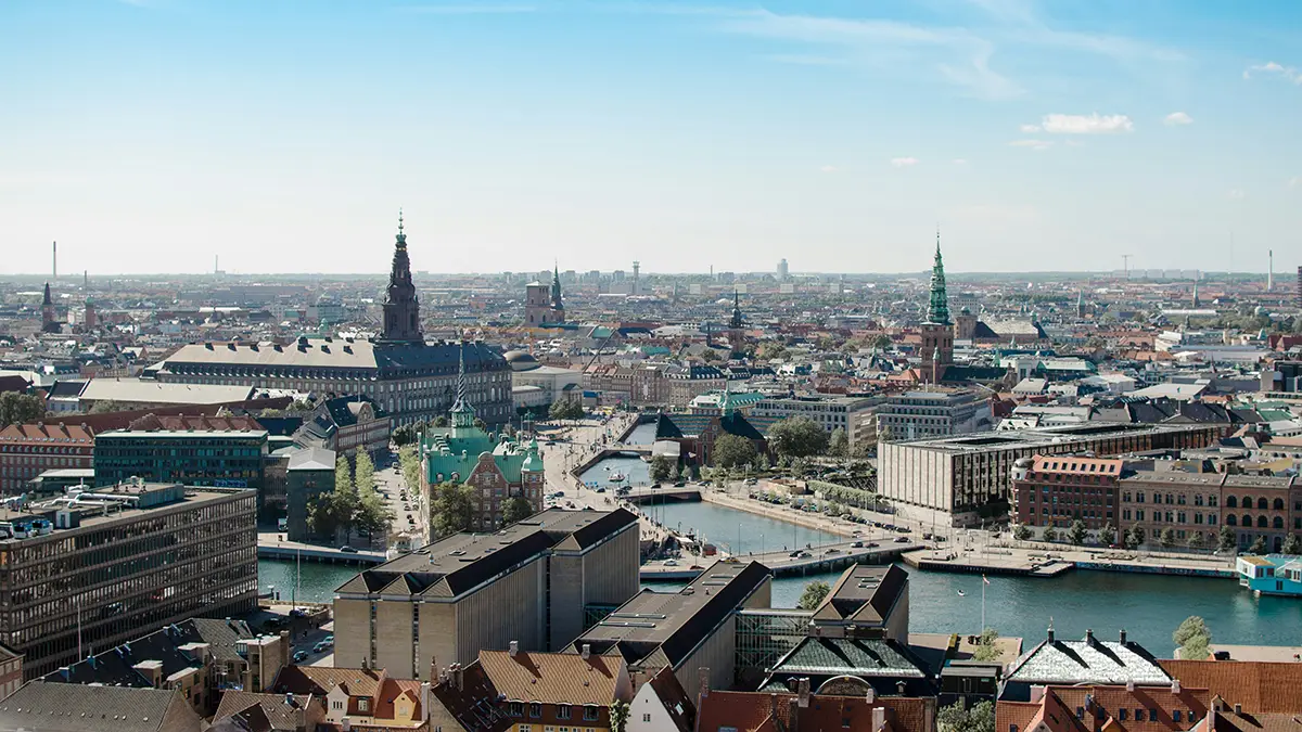 코펜하겐 Bybi, 도시를 꿀벌과 사람의 공동체로 만든 사회적 기업 이야기