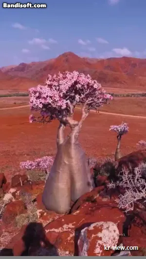 img.webp?credential=yqXZFxpELC7KVnFOS48ylbz2pIh7yKj8&expires=1767193199&allow_ip=&allow_referer=&signature=Li4Z71dta%2FAHCURYLYk%2FvAM%2Ffds%3D