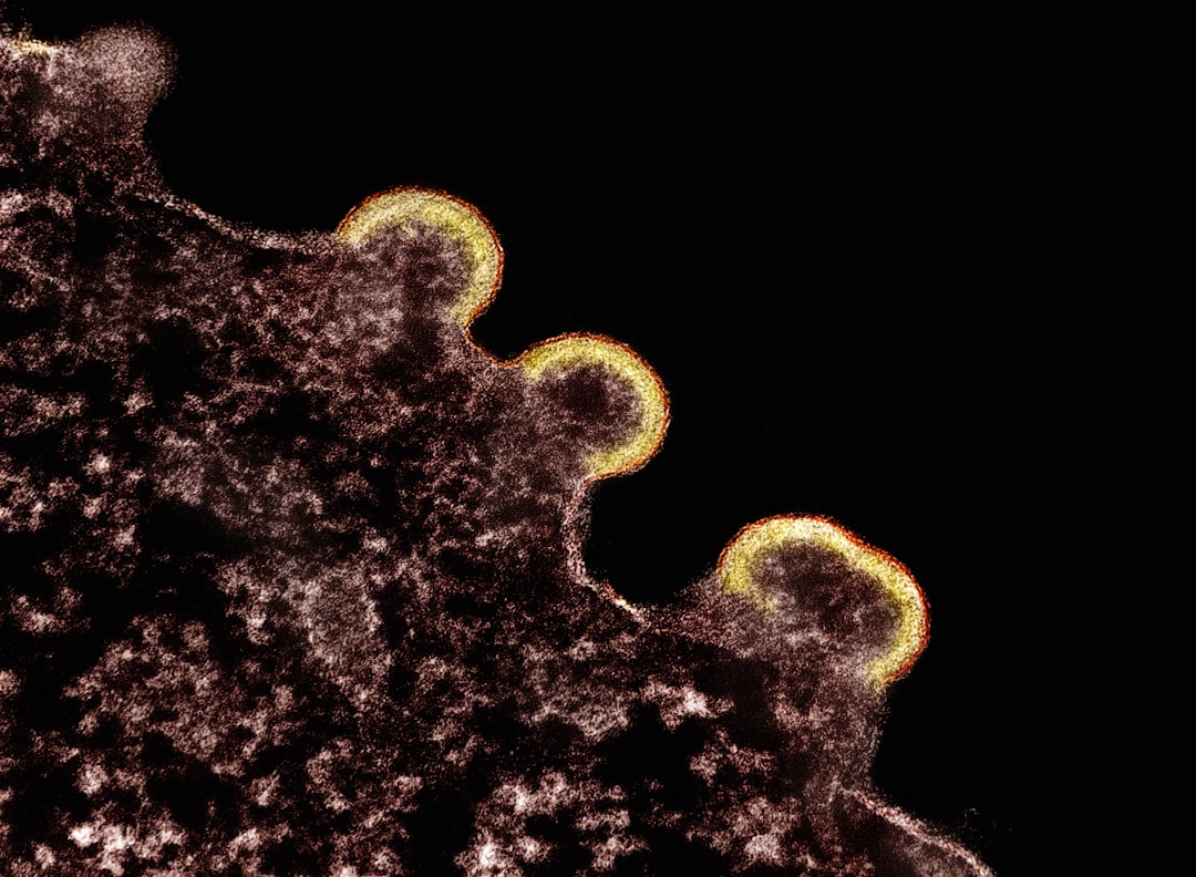 Helicobacter