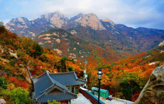 2025 북한산 단풍 절정 날짜 공개! 가을 등산 초보자 코스 &amp; 꿀팁