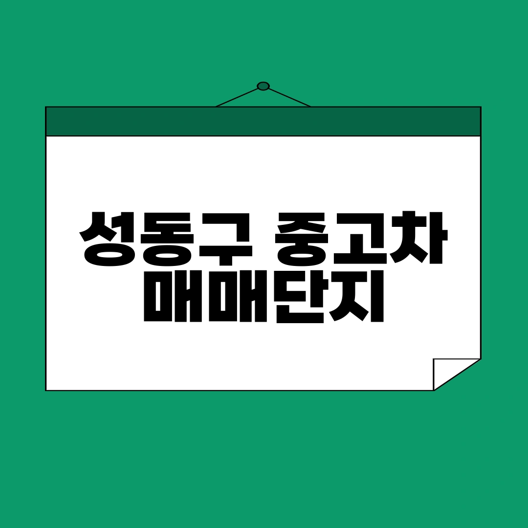 성동구 중고차 매매단지