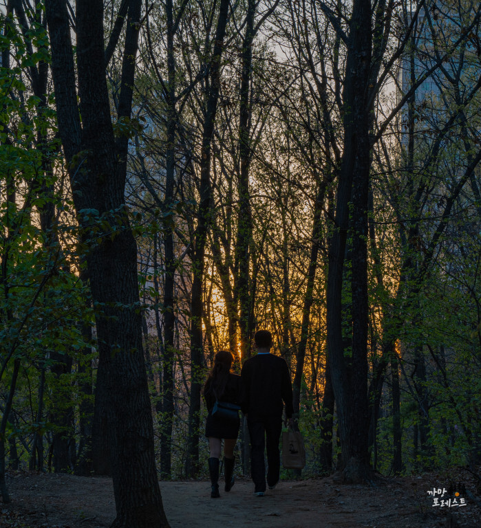 동탄 반석산 데이트