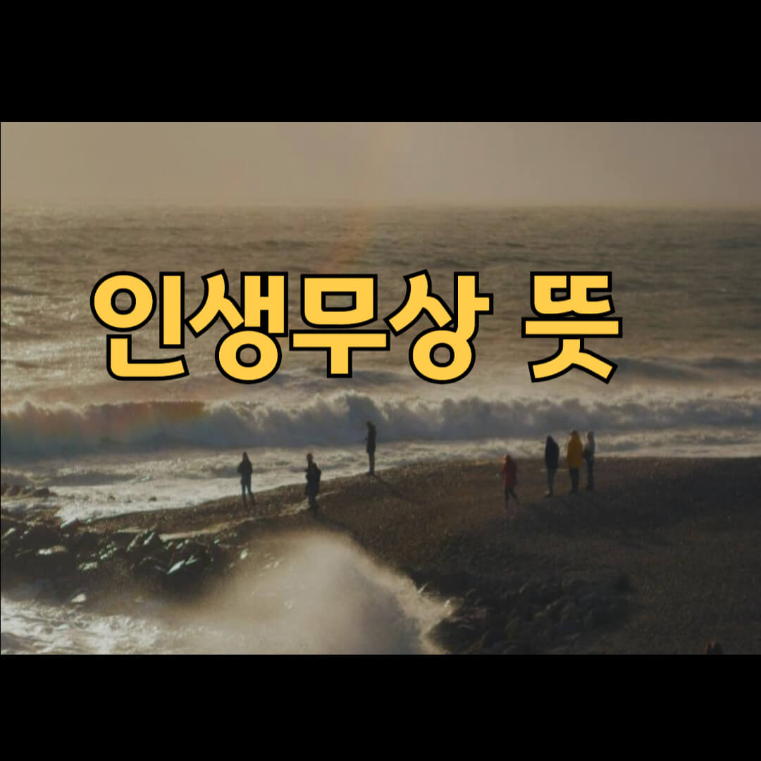 인생무상 뜻