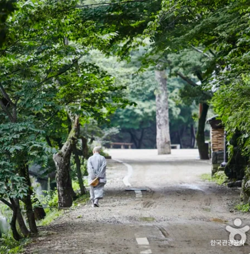 마곡사 사진