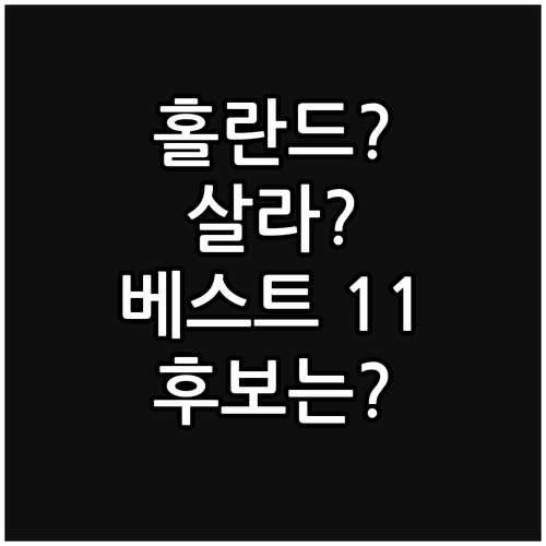 홀란드, 살라… 2024 EPL 베스