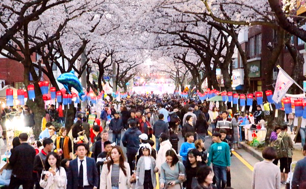 벚꽃축제