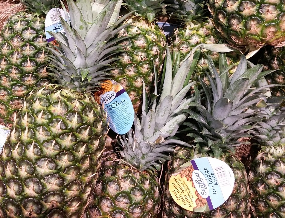 당도-높은-파인애플