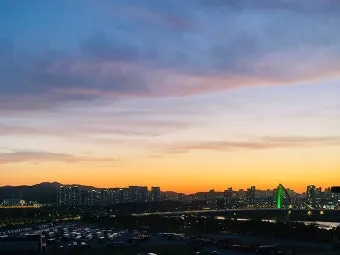 북서향 창문 식물 선택 저광량관리 물주기 식물등 세팅 가이드_5