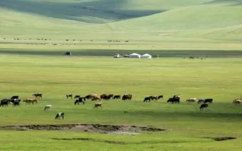 몽골 여행하기 좋은 계절 완벽 가이드 베스트 시기_14