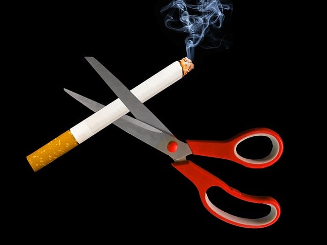 금연을 포현한 불이붙은 담배를 가위로 자르는 사진