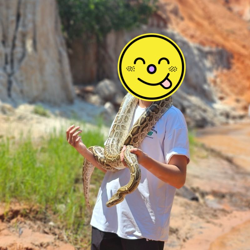 무이네 요정의 샘에서 커다란 비단뱀을 목에 걸고 사진 찍은 아이 모습