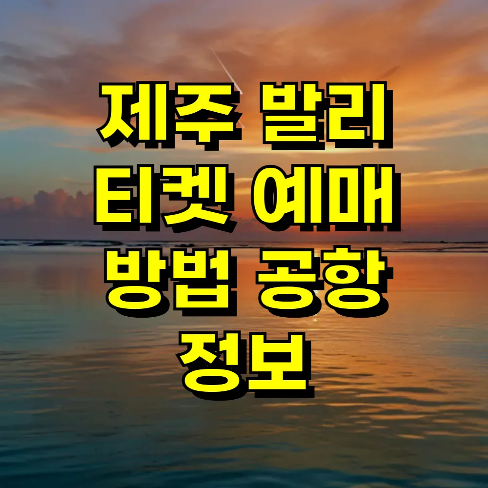 제주 발리 티켓 예매 방법 공항 정보