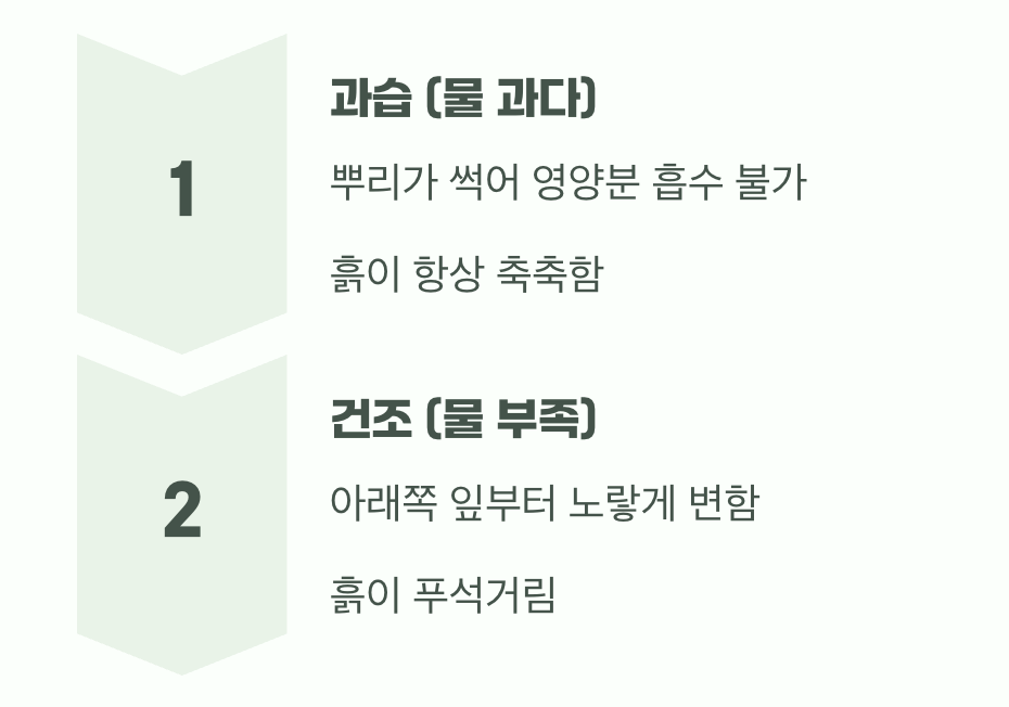 가장 흔한 용의자, '물'의 문제