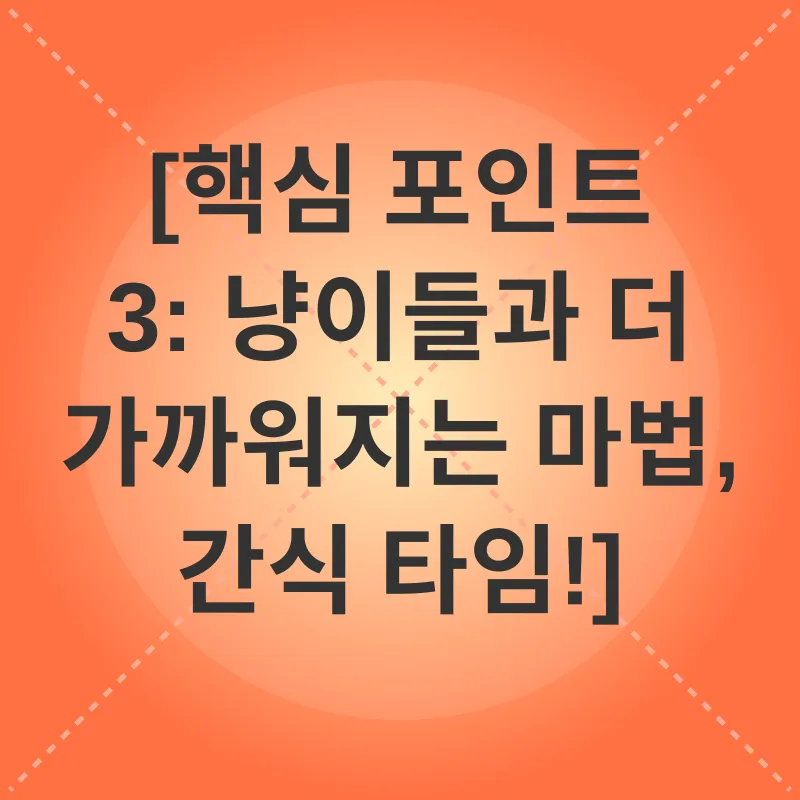 고양이 카페 체험_3