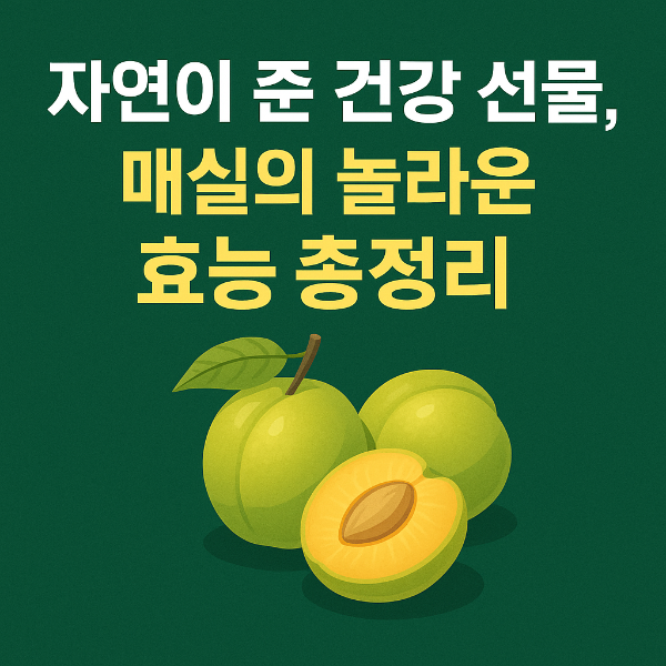 매실의 효능