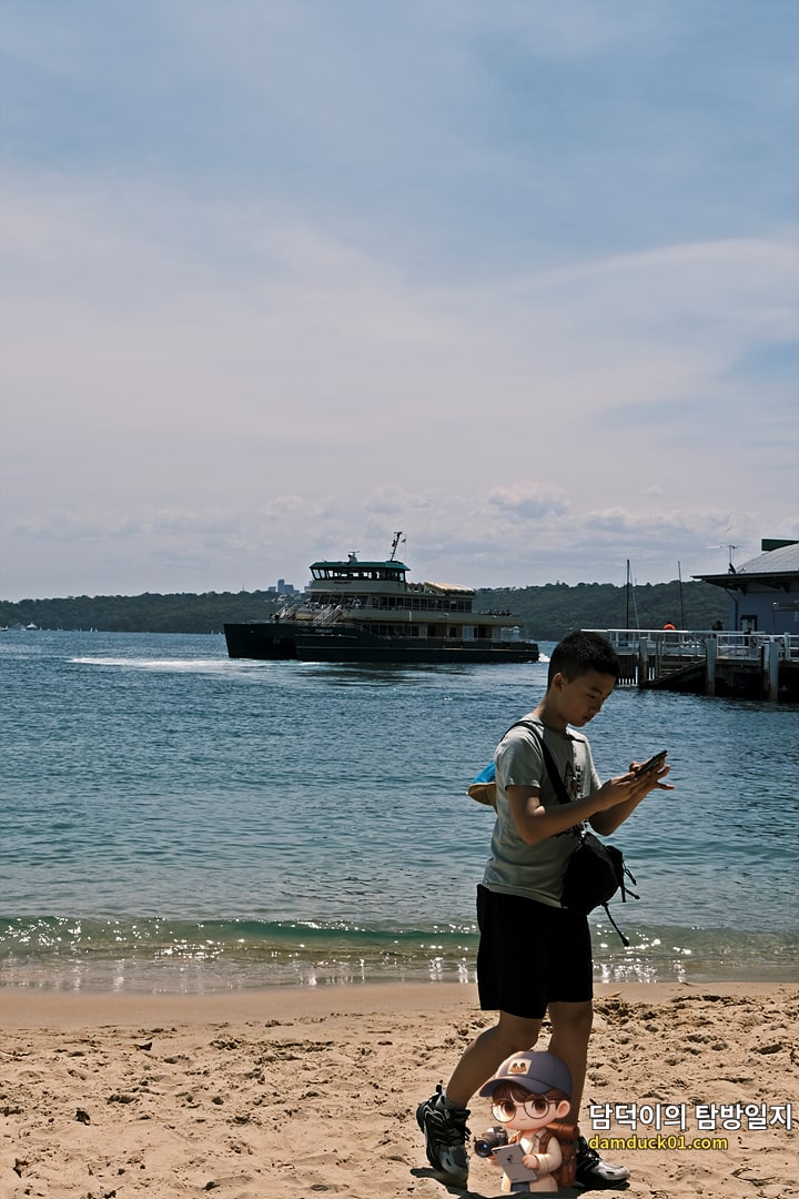 로즈 베이 비치 (Rose Bay Beach)