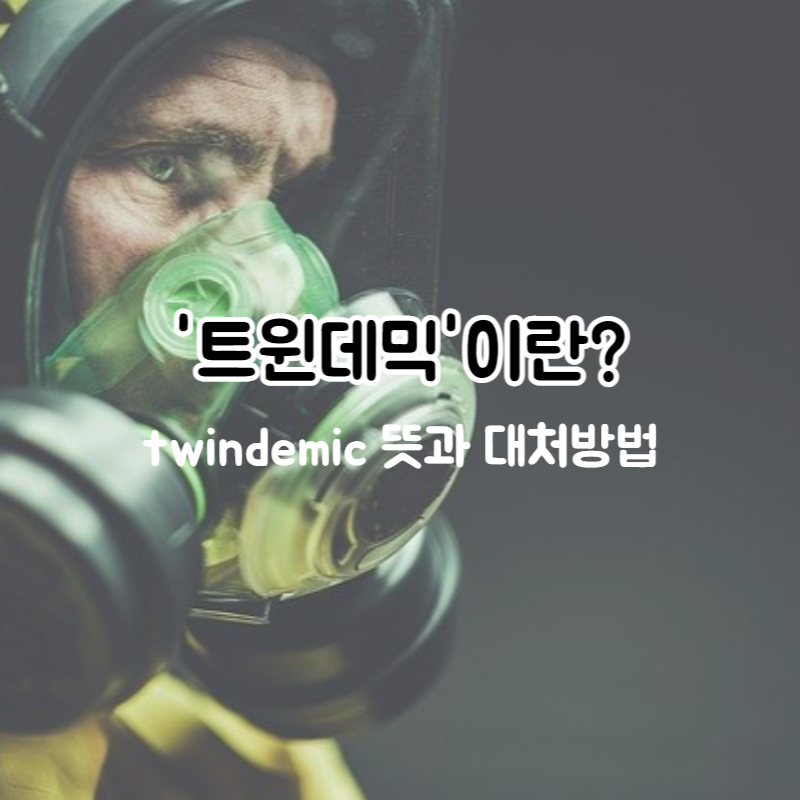 트윈데믹 뜻