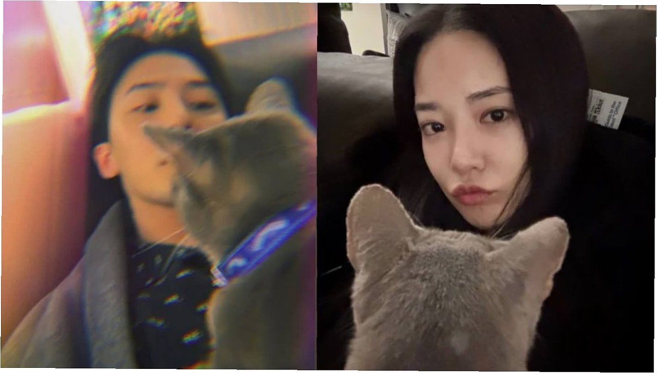 이주연 지드래곤