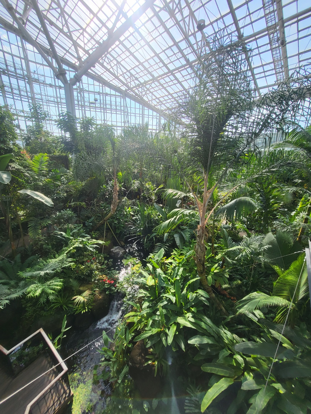 세종 아이와 가볼 만 한 곳 (세종수목원)