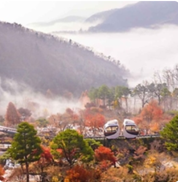 화담숲 예약 방법 모노레일 입장권