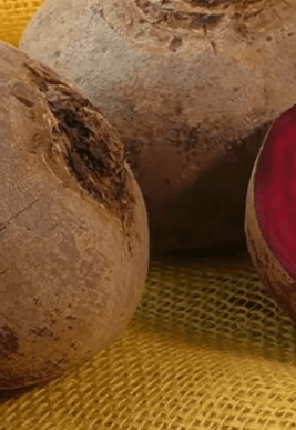 비트_하루_섭취량_먹는방법