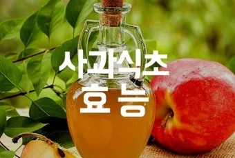 사과식초 효능_22