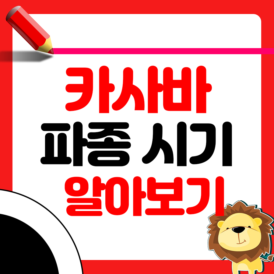 카사바 파종 시기와 거름 주는 방법 성공적인 재배 가이드 1