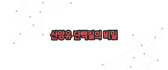 산양유 단백질 효능 이보다 자세히 설명할순없다