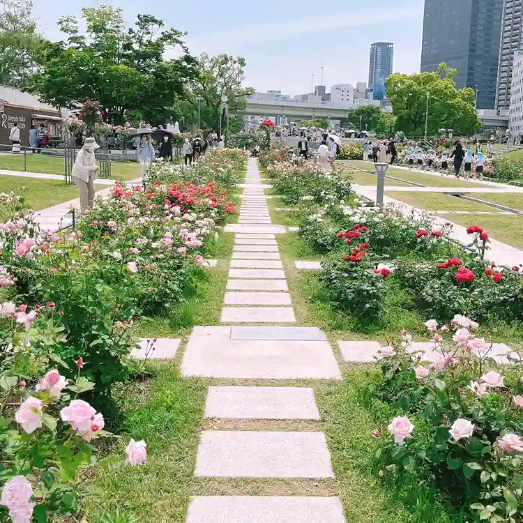나카노시마 공원 장미원