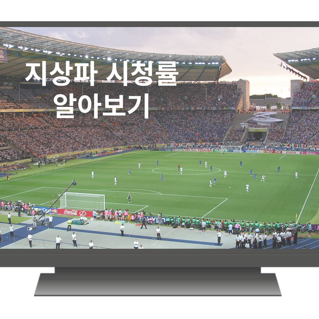 08월31일 지상파 시청률