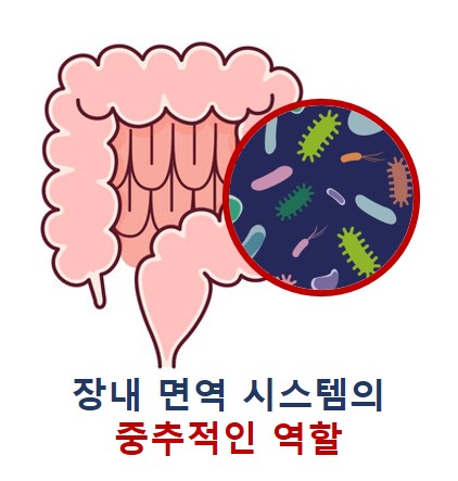 마이크로바이옴