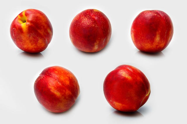 어깨 석회질치료방법 1