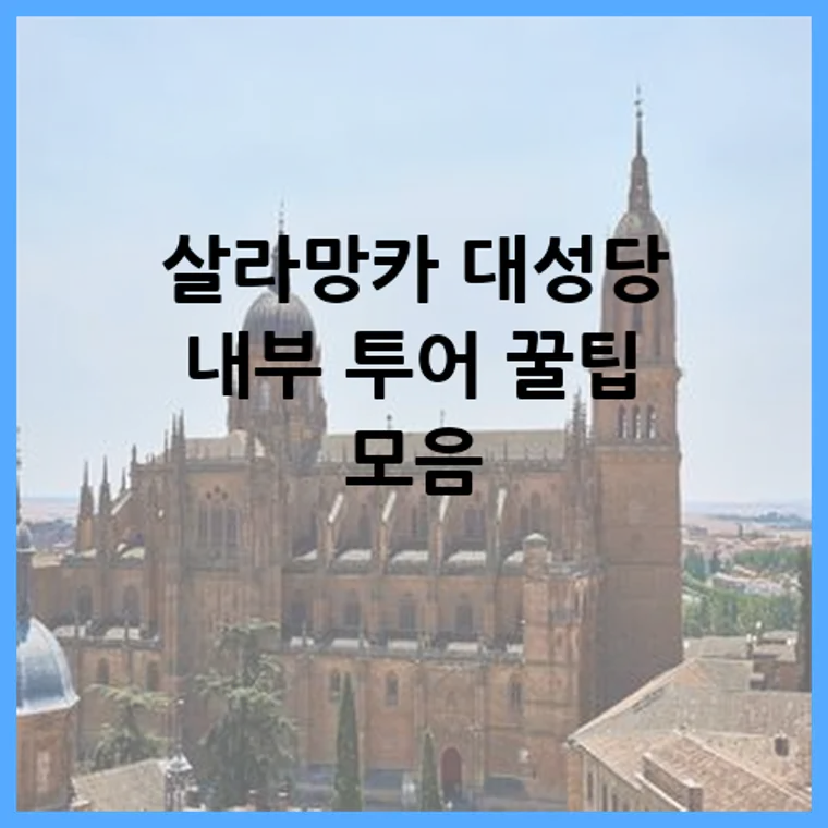 살라망카 대성당 내부 투어 꿀팁 모음