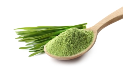 새싹보리이미지