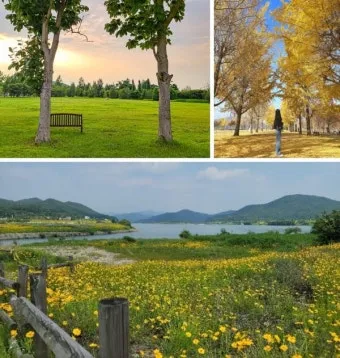 여주 가볼만한곳 맛집 추천 카페 뚜벅이 핫플_5