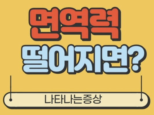 면역력 저하 증상